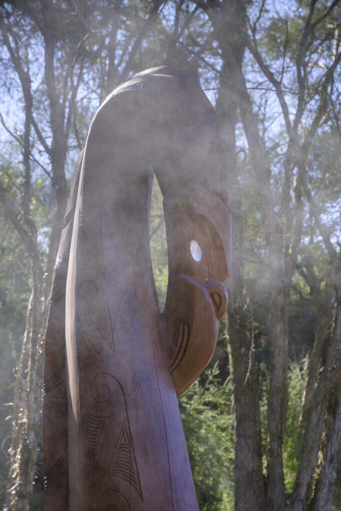 New Zealand, North Island, Rotorua.