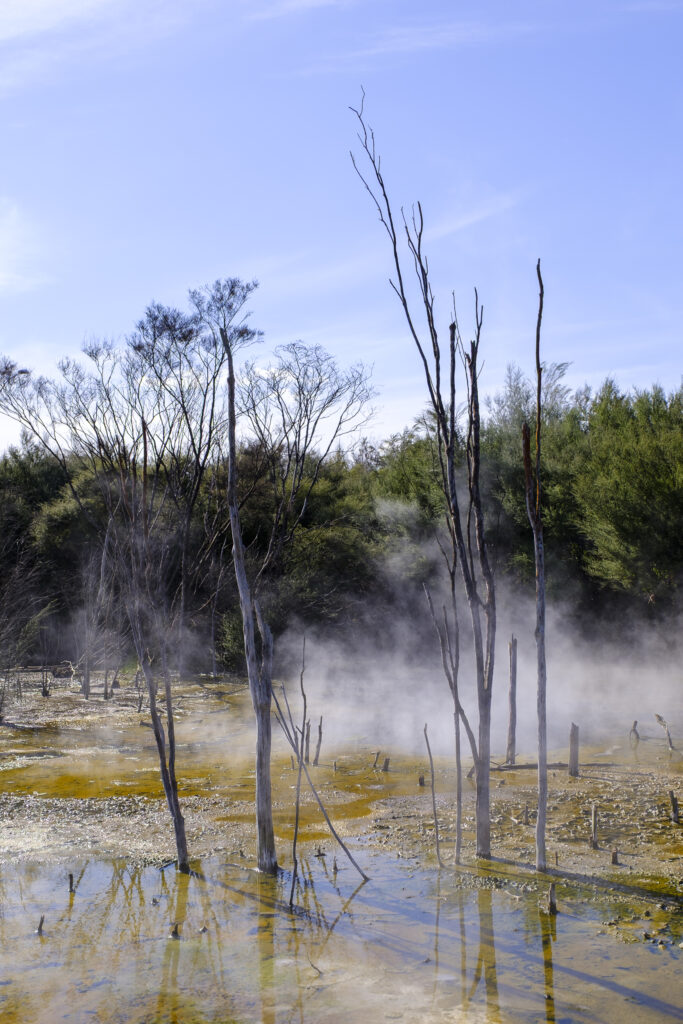 New Zealand, North Island, Rotorua.
