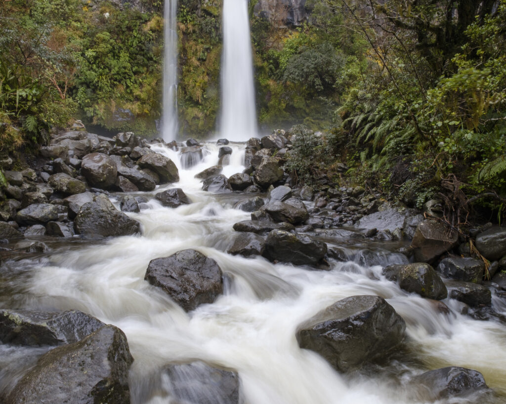 New Zealand, North Island, Egmont National Park.
