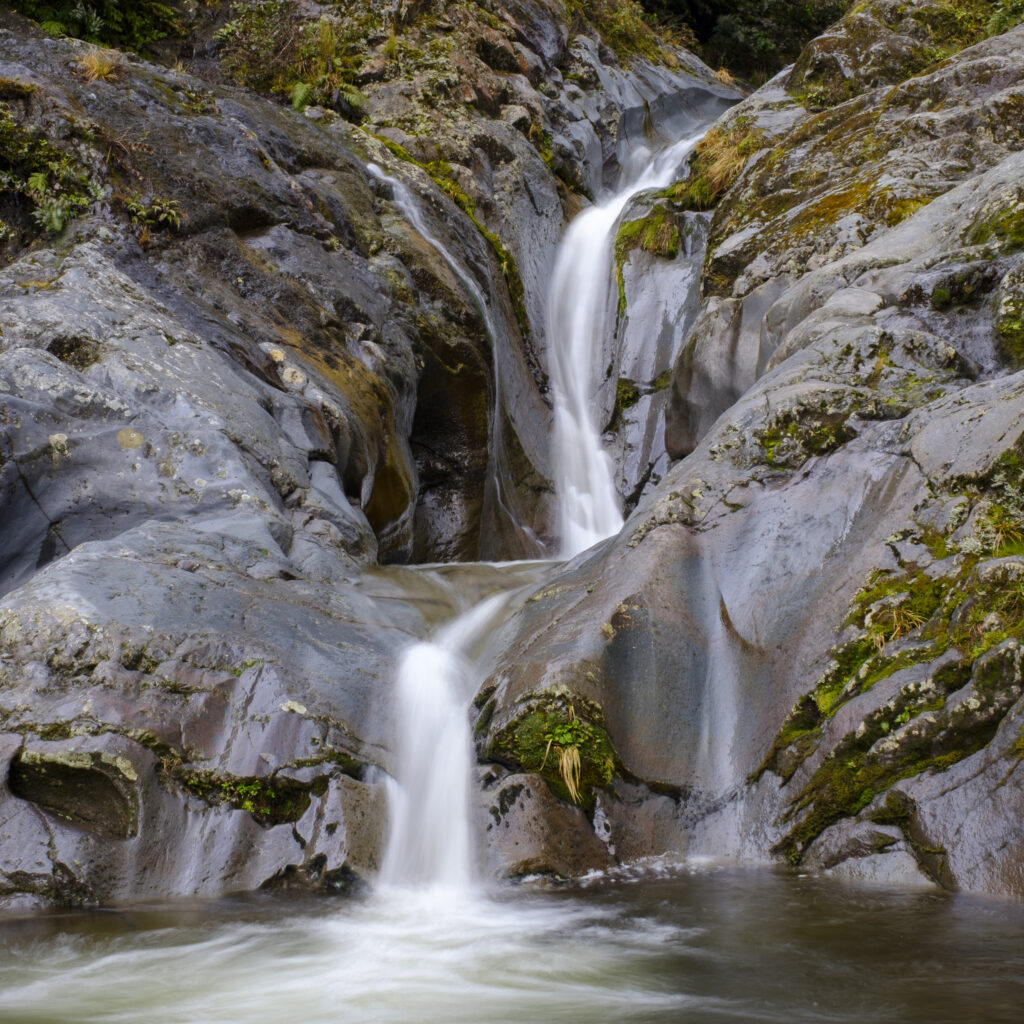 New Zealand, North Island, Egmont National Park.