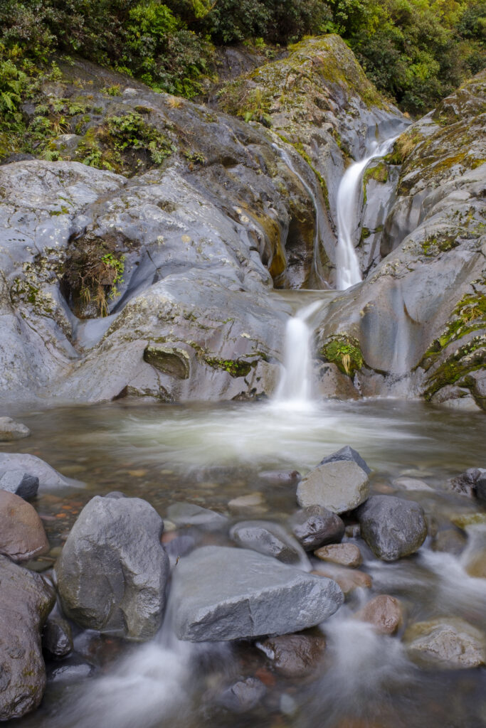 New Zealand, North Island, Egmont National Park.