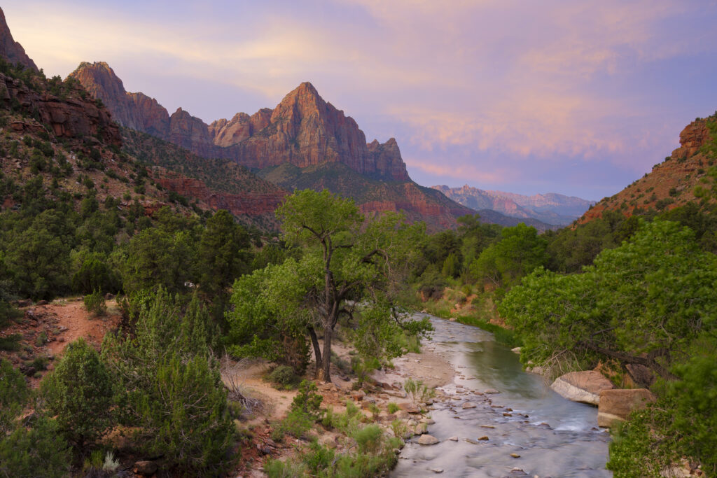 United States of America, Utah, Zion National Park.