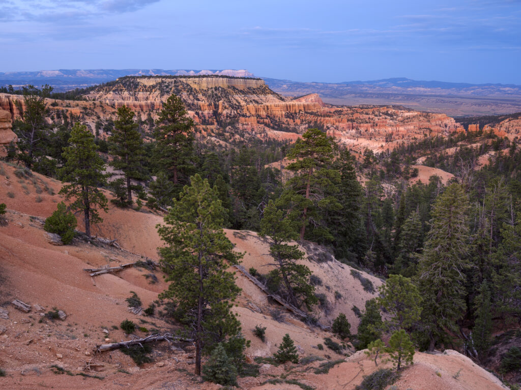 United States of America, Utah, Bryce Canyon National Park.