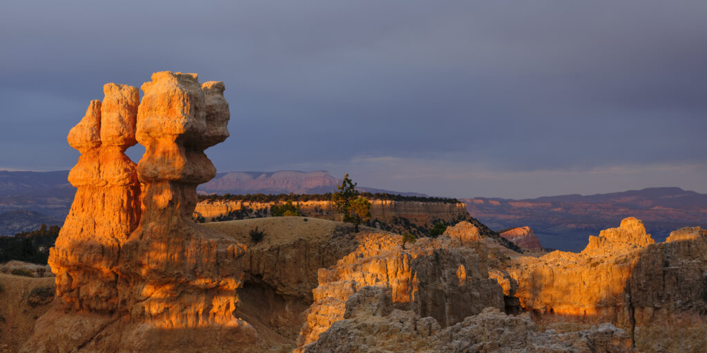 United States of America, Utah, Bryce Canyon National Park.