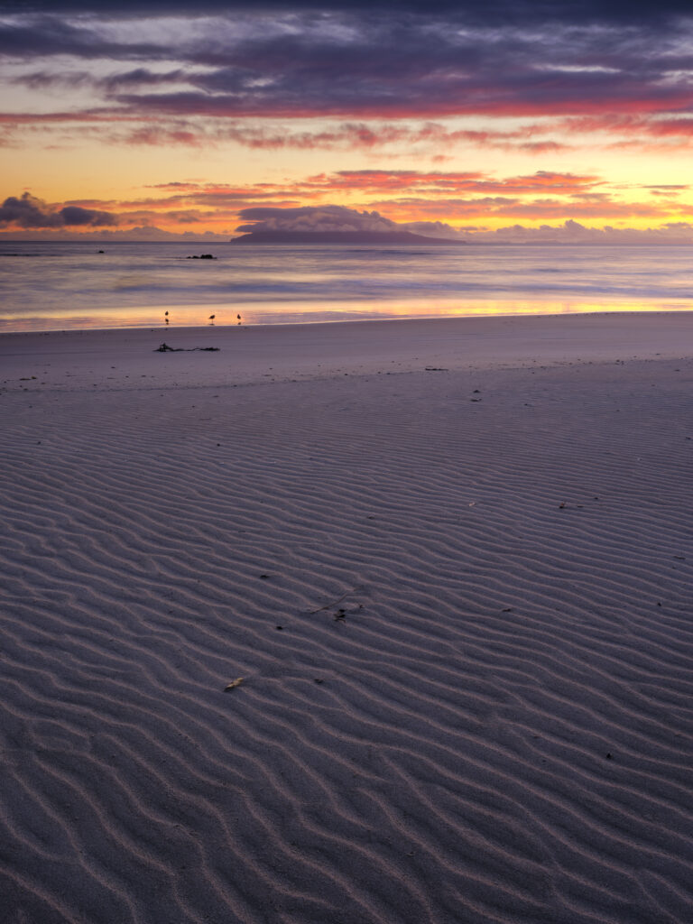 New Zealand, North Island, Tāwharanui Regional Park.