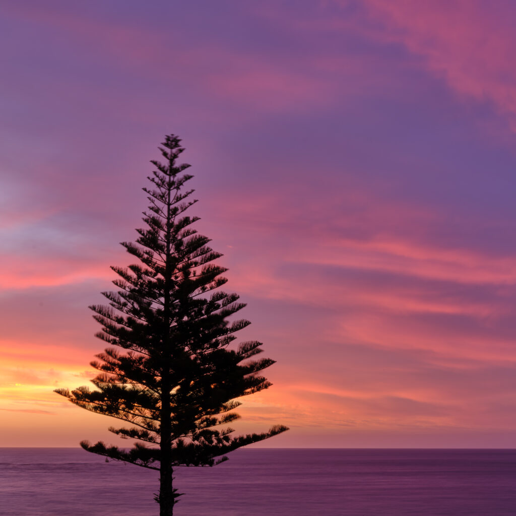 Australia, South Australia, Christies Beach.
