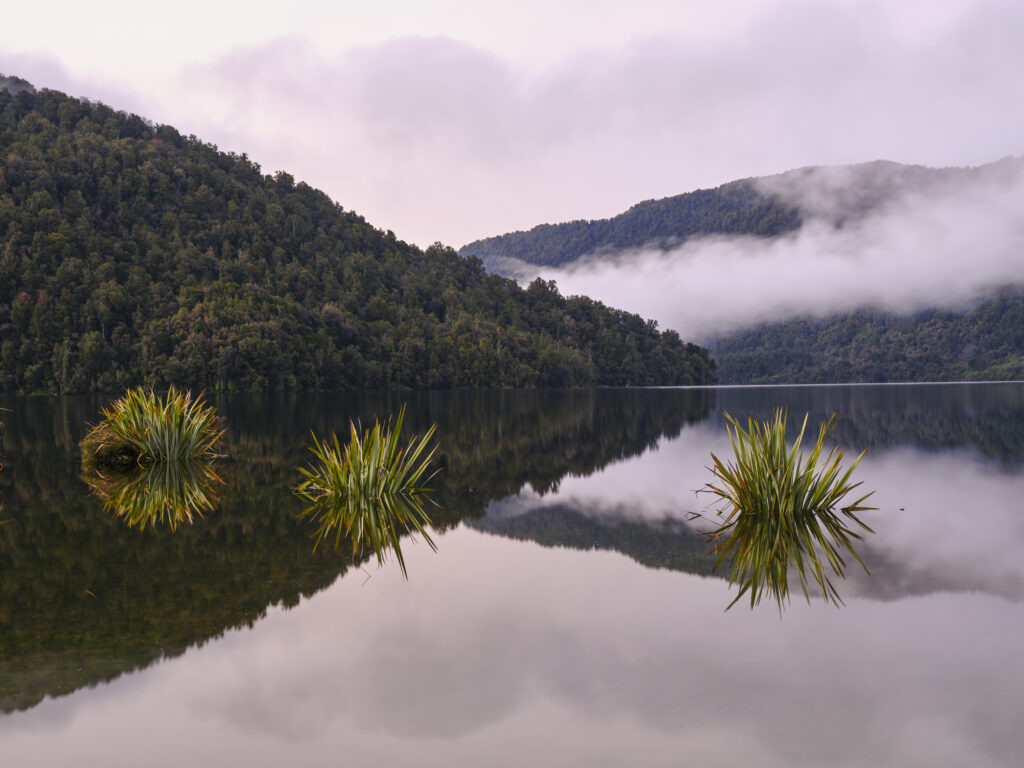 New Zealand, West Coast, Lake Paringa.