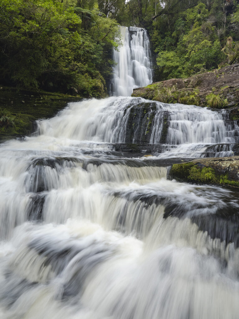 New Zealand, Southland, The Catlins.