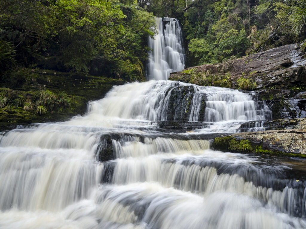 New Zealand, Southland, The Catlins.