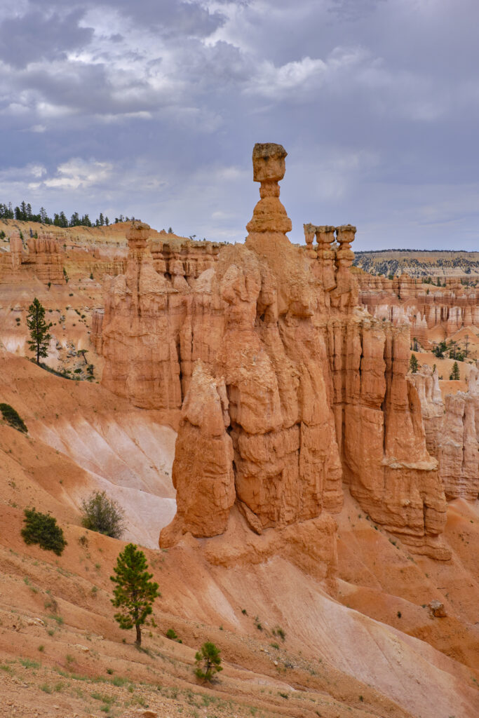 United States of America, Utah, Bryce Canyon National Park.