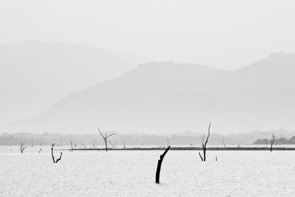Sri Lanka, Ratnapura District, Udawalawa National Park.