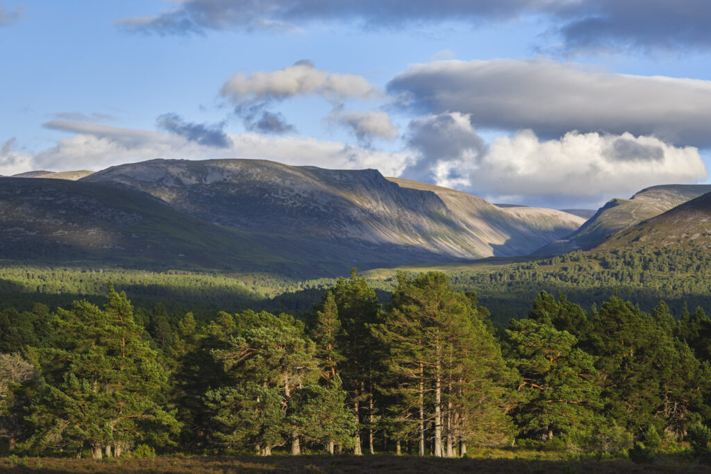 Scotland, Scottish Highlands, Cairngorms National Park.