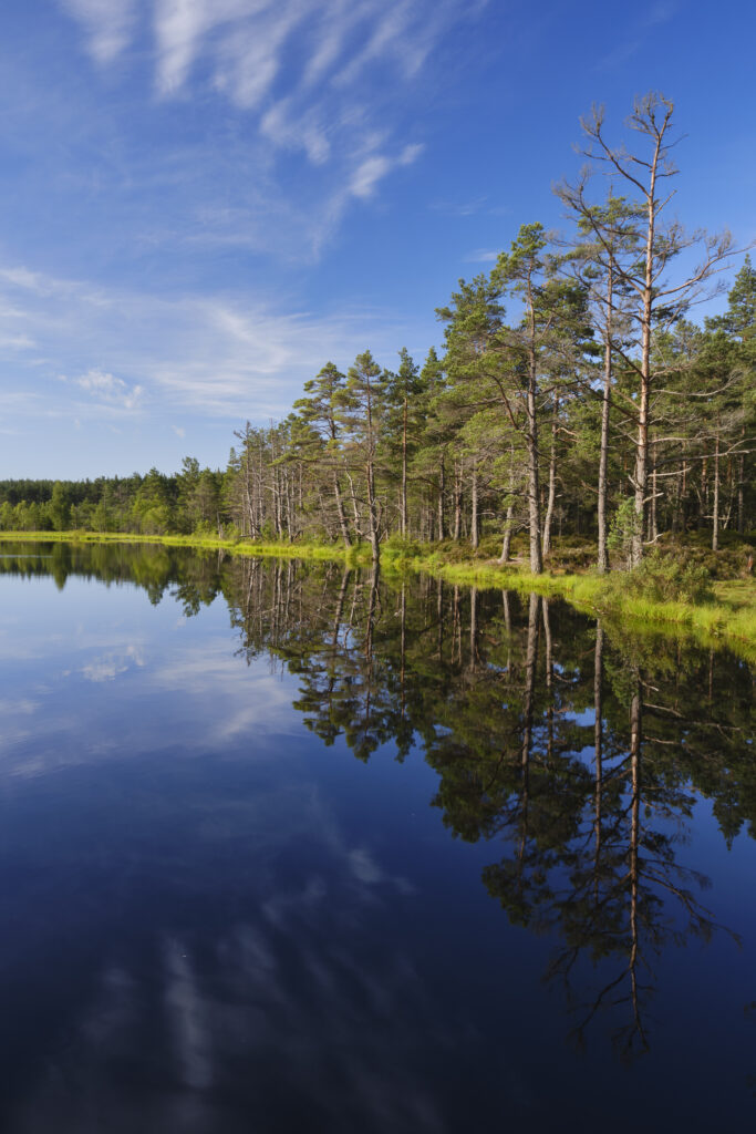 Scotland, Scottish Highlands, Cairngorms National Park.