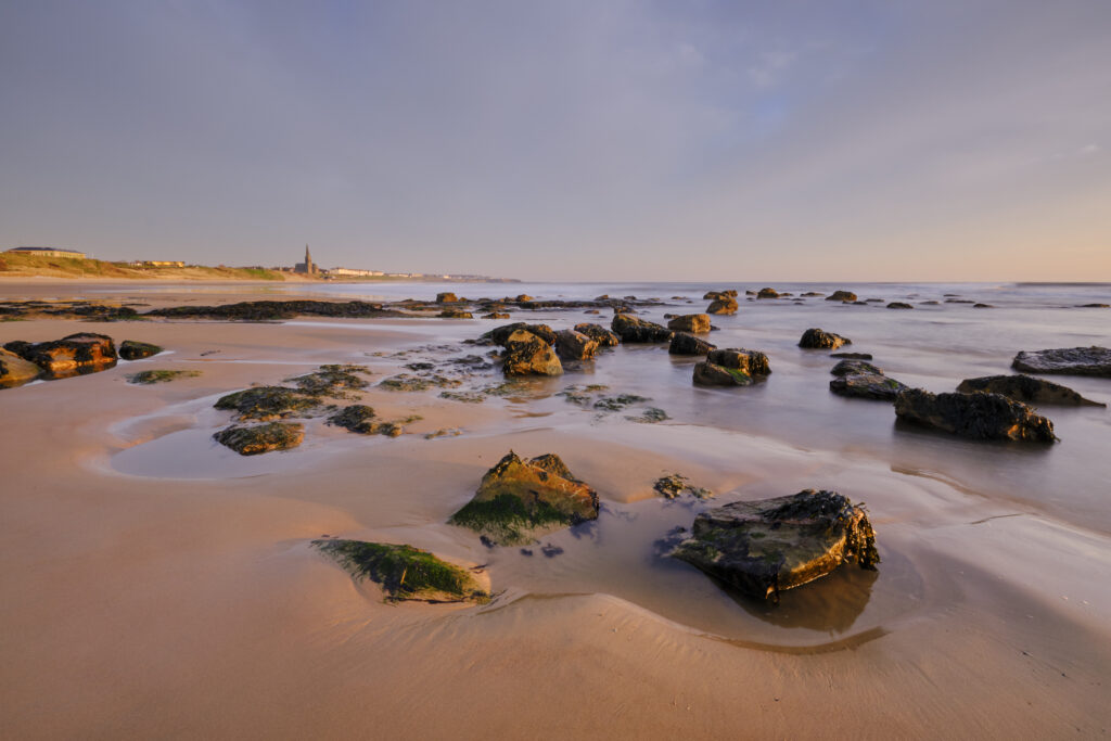 England, Tyne and Wear, Tynemouth.