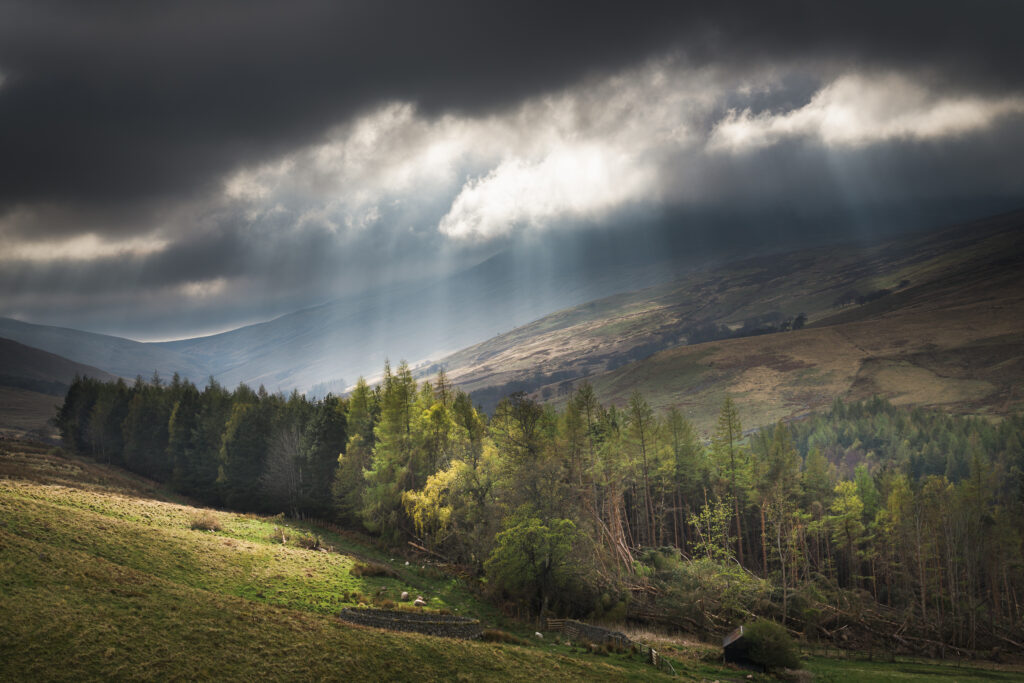 England, Northumberland National Park, Harthope Valley.
