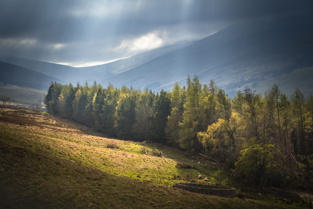 England, Northumberland National Park, Harthope Valley.