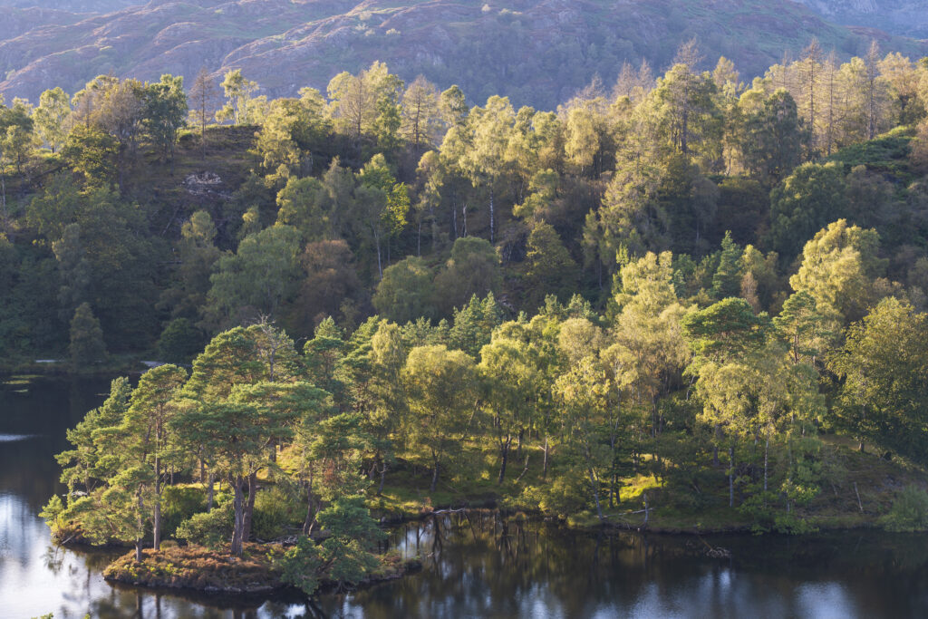 England, Cumbria, Lake District National Park.