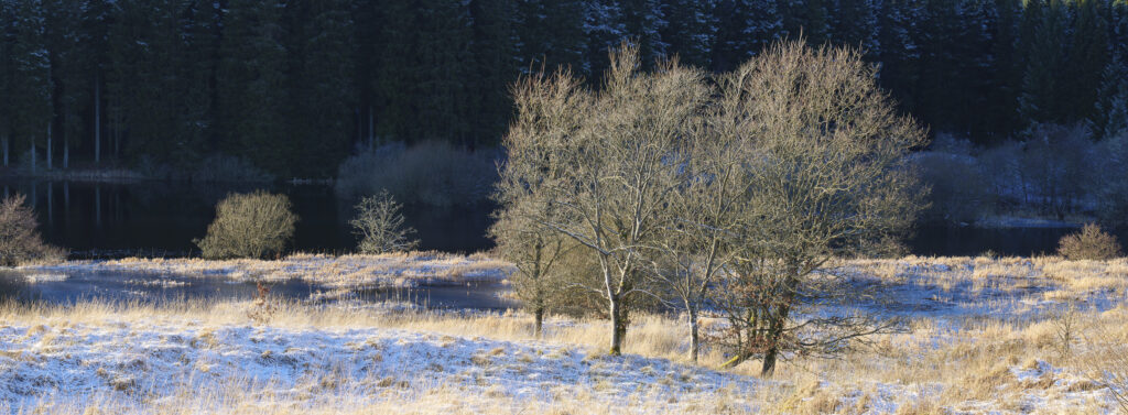 England, Northumberland, Kielder Water & Forest Park.