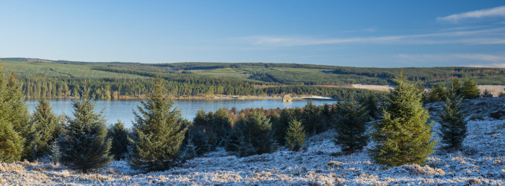 England, Northumberland, Kielder Water & Forest Park.