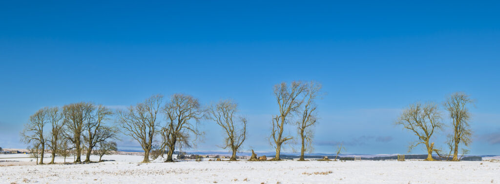 England, Northumberland National Park, Tyne Valley.