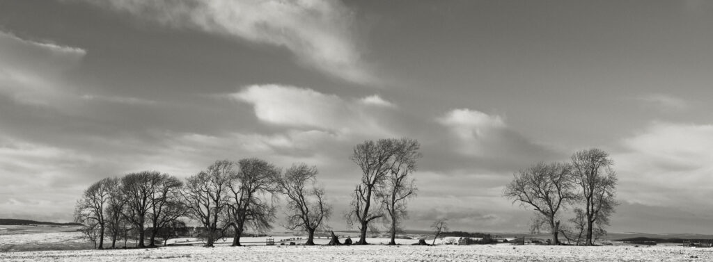 England, Northumberland National Park, Tyne Valley.