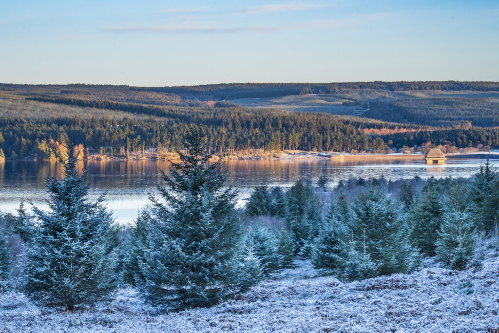England, Northumberland, Kielder Water & Forest Park.
