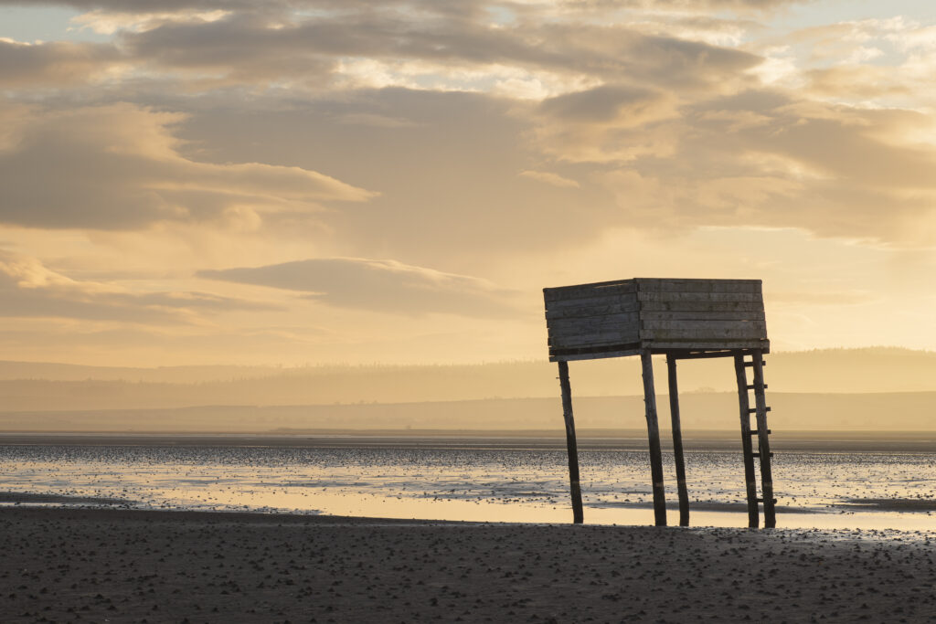 England, Northumberland, Northumberland Heritage Coast.