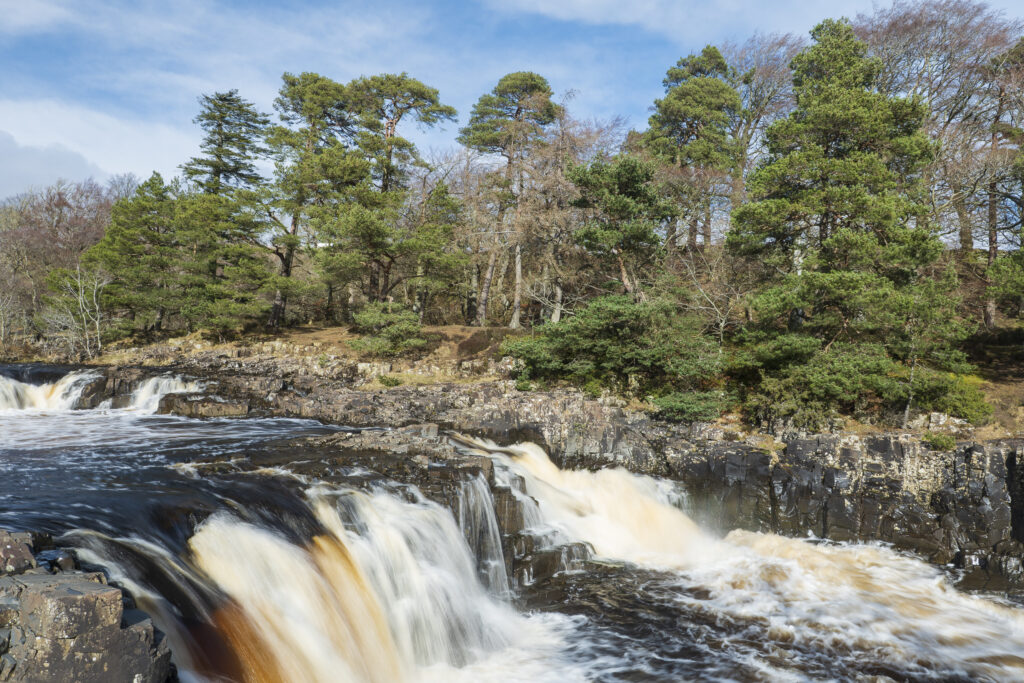 England, County Durham, Low Force.