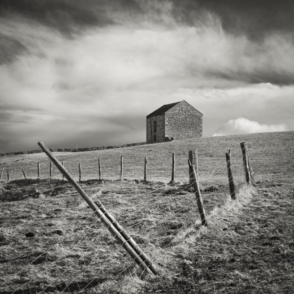 England, County Durham, Tees Dale.