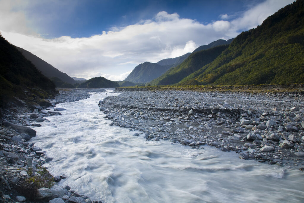 NEW ZEALAND, Westland, Westland National Park.