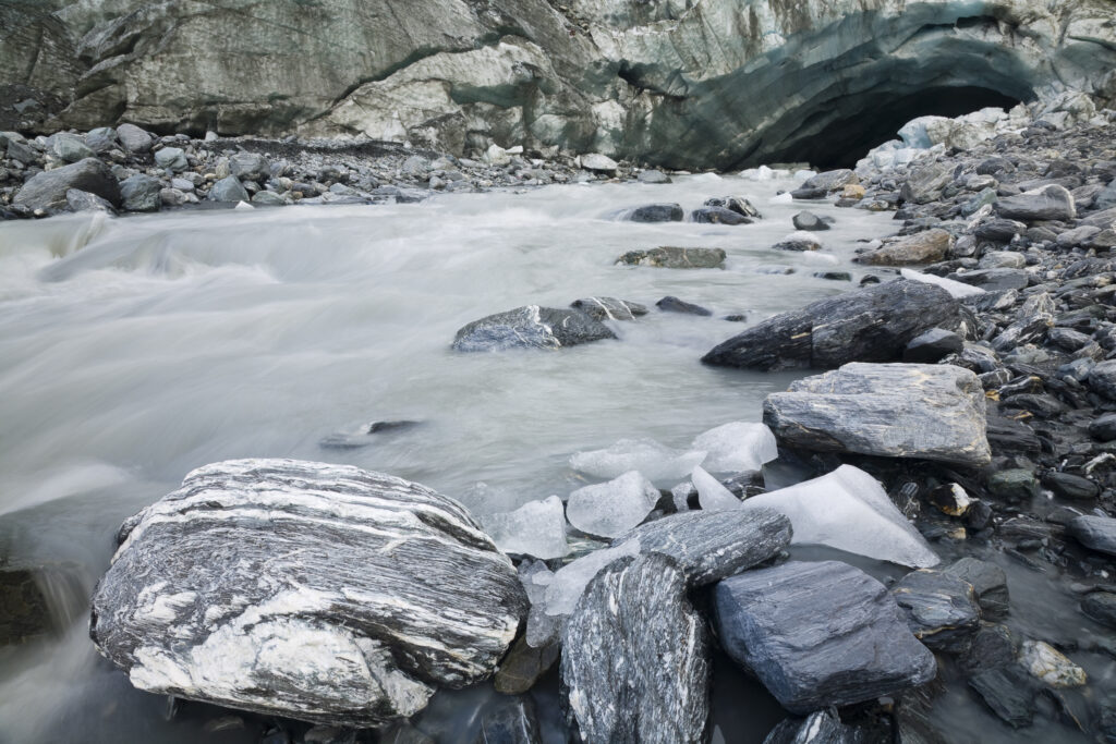 NEW ZEALAND, Westland, Westland National Park.