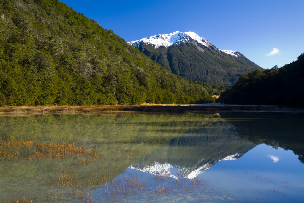 New Zealand, Canterbury, Arthur’s Pass National Park.
