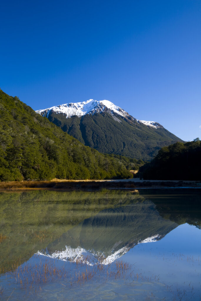 New Zealand, Canterbury, Arthur’s Pass National Park.