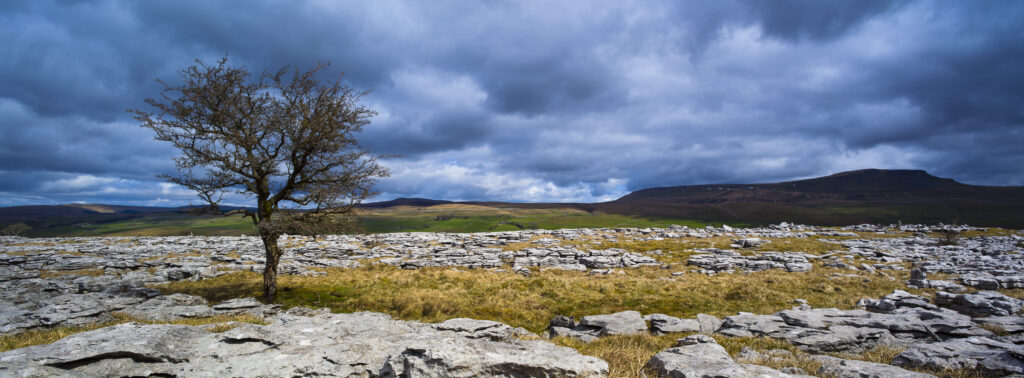 England, North Yorkshire, Yorkshire Dales National Park.