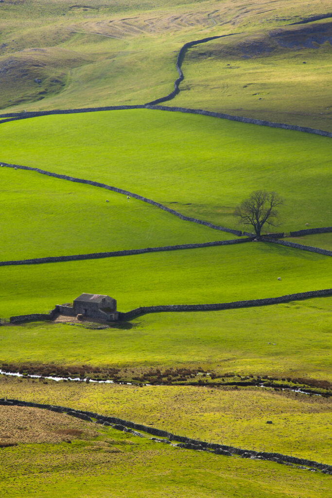 England, North Yorkshire, Yorkshire Dales National Park.