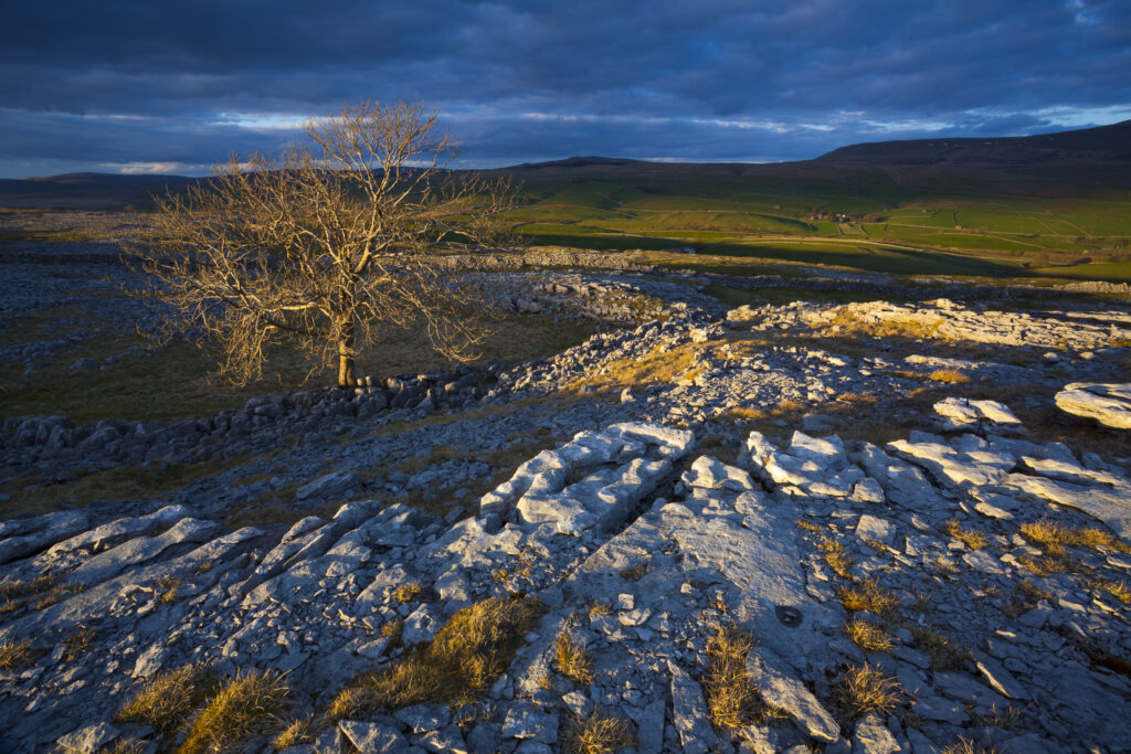 England, North Yorkshire, Yorkshire Dales National Park.