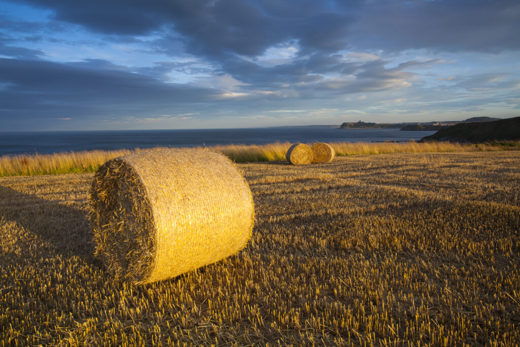 England, North Yorkshire, Scarborough.