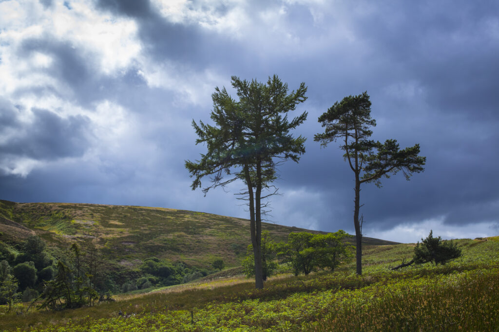 England, Northumberland, Northumberland National Park.