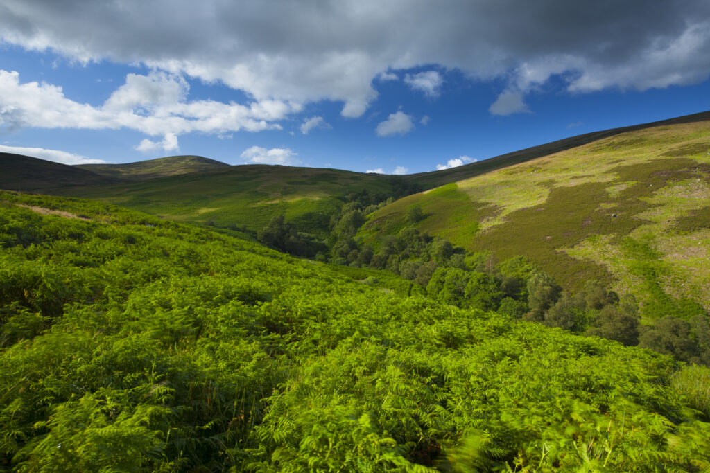 England, Northumberland, Northumberland National Park.