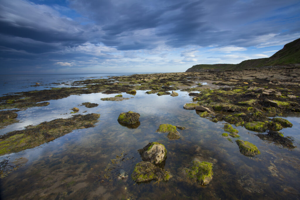 England, North Yorkshire, North York Moors National Park.