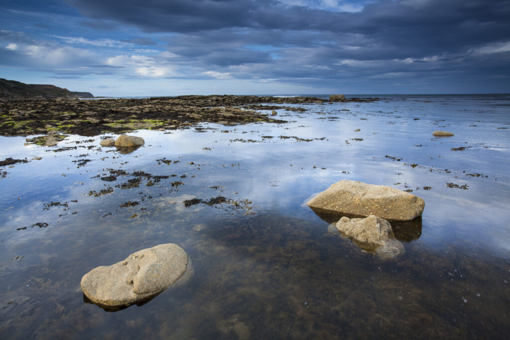 England, North Yorkshire, North York Moors National Park.