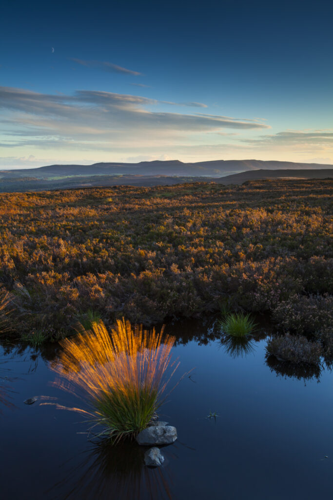 England, Northumberland, Northumberland National Park.