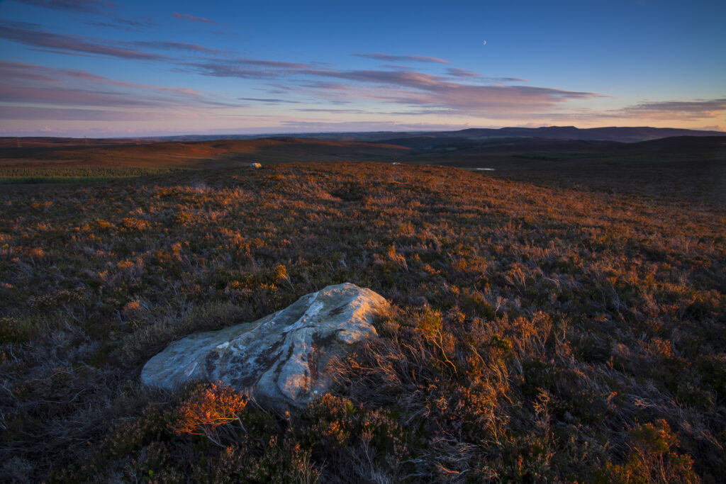 England, Northumberland, Northumberland National Park.