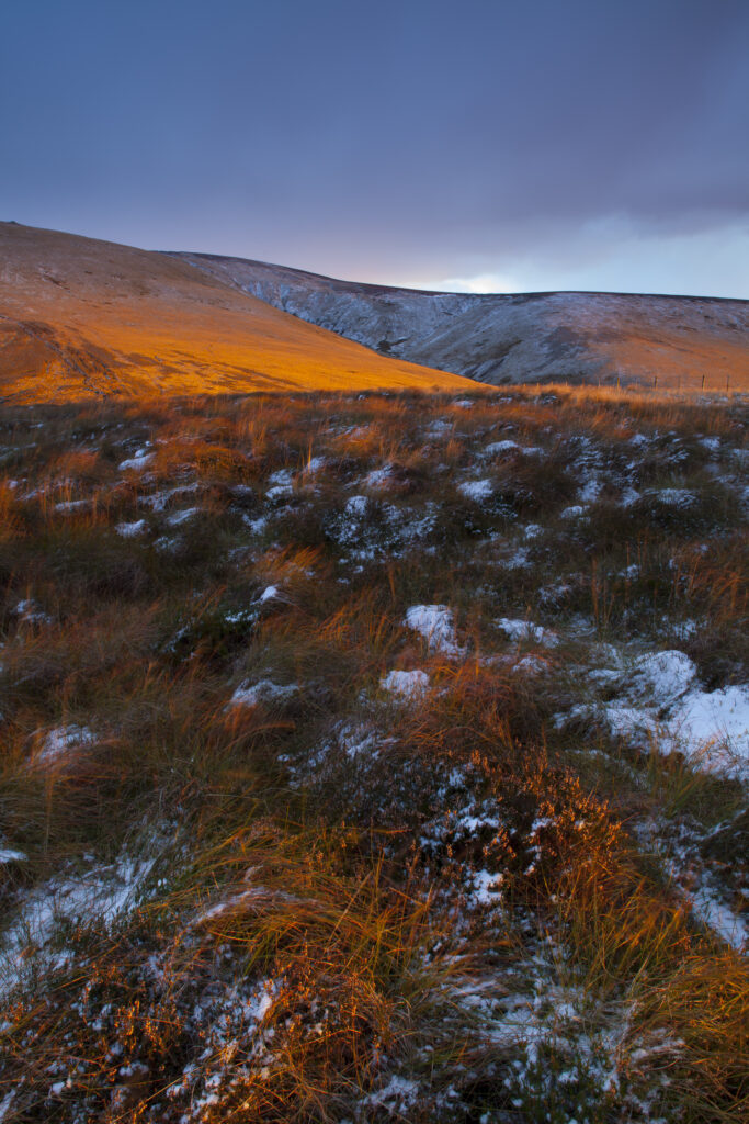 England, Northumberland, Northumberland National Park.