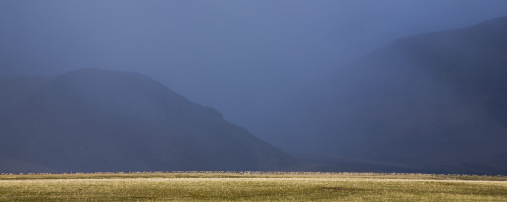 New Zealand, Canterbury, Canterbury Plains.
