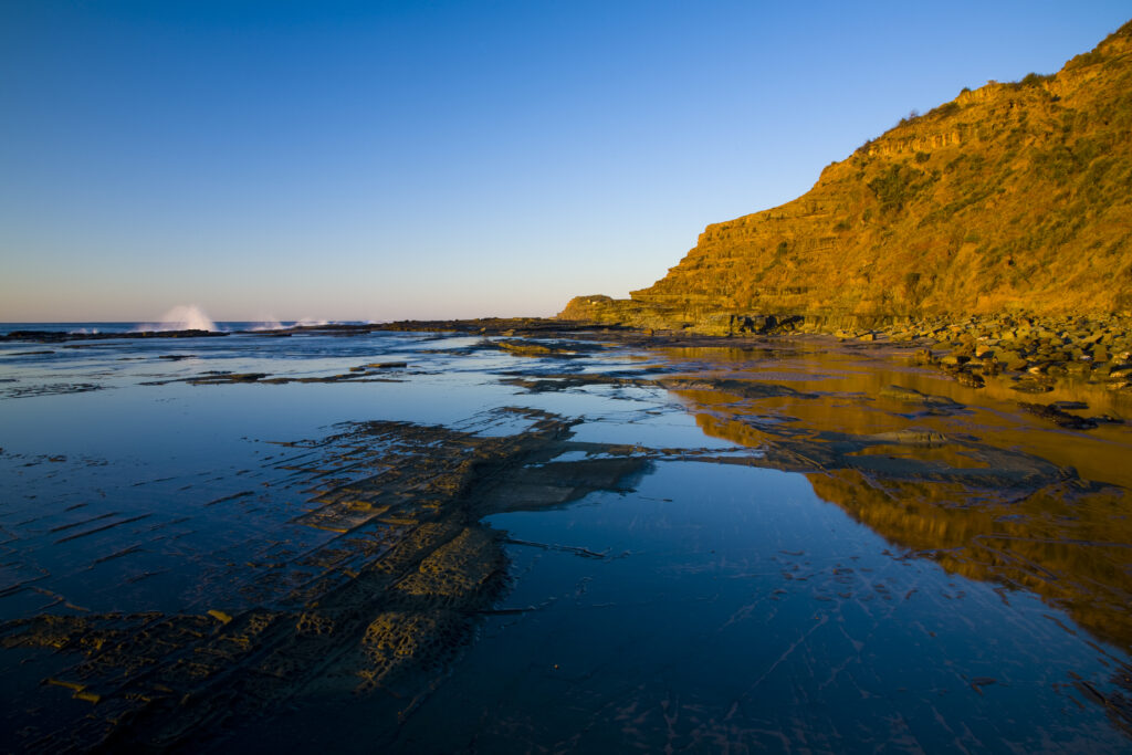 Australia, New South Wales, Royal National Park.