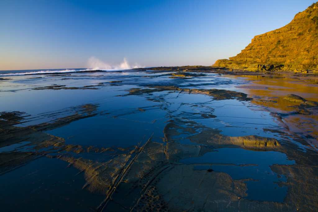 Australia, New South Wales, Royal National Park.