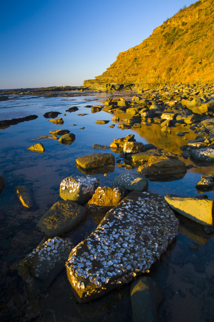 Australia, New South Wales, Royal National Park.