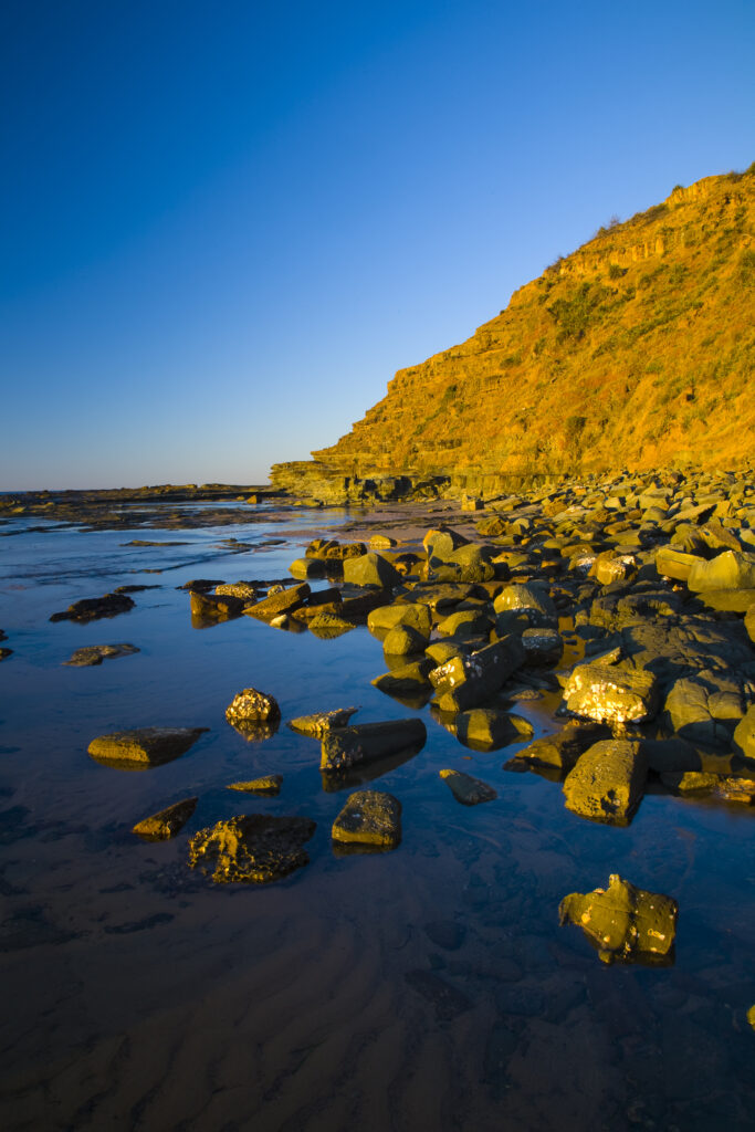 Australia, New South Wales, Royal National Park.