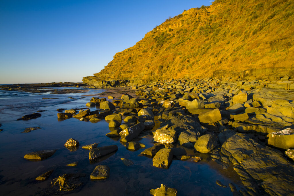 Australia, New South Wales, Royal National Park.